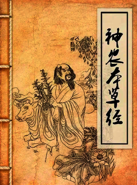 神农本草